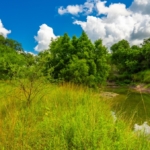 texas cattle property for sale berclair ranch