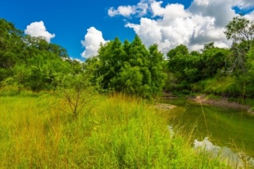 texas cattle property for sale berclair ranch