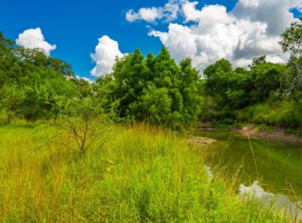 texas cattle property for sale berclair ranch