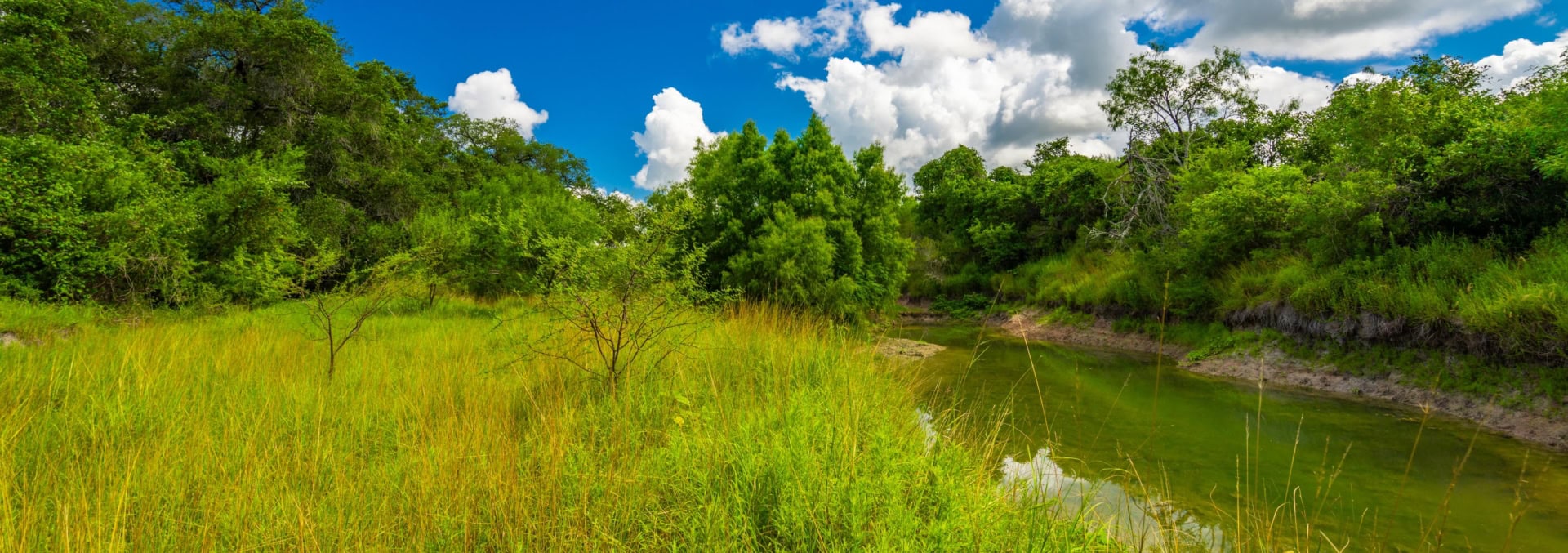 texas cattle property for sale berclair ranch