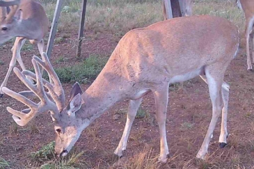 texas ranches for sale purgatory bend ranch