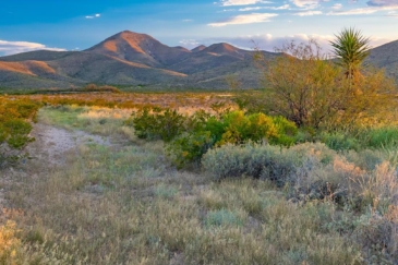 texas ranches for sale wylie mountain ranch