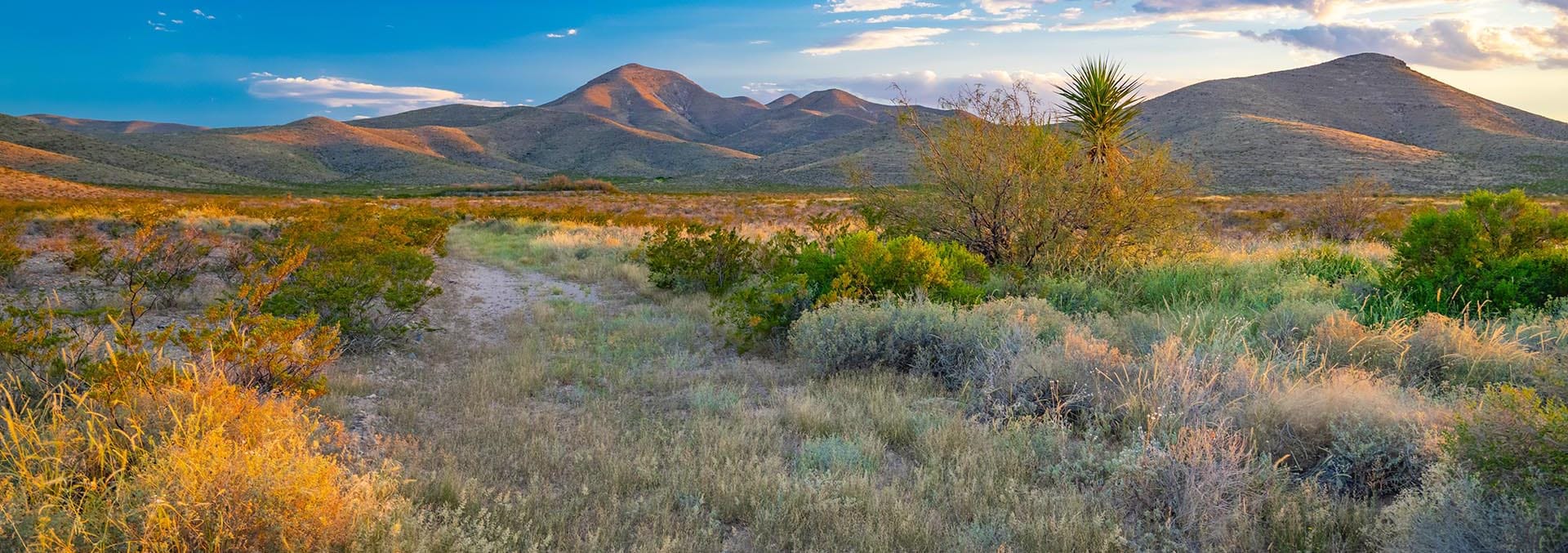 texas ranches for sale wylie mountain ranch