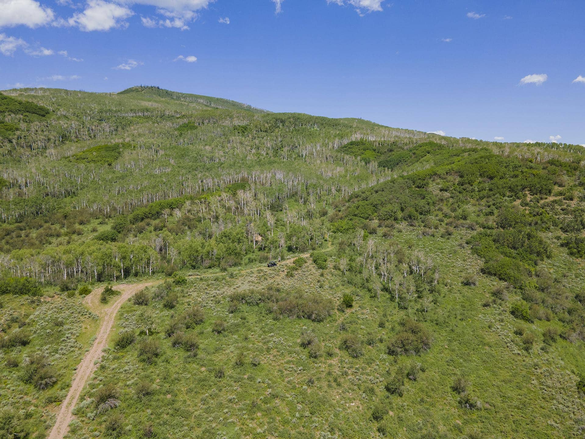 timberland for sale colorado stagecoach lake ranch