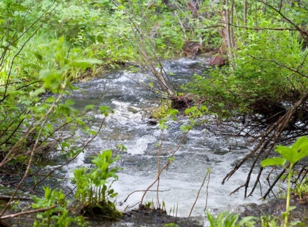 Montana ranches for sale Pine Creek Ranch