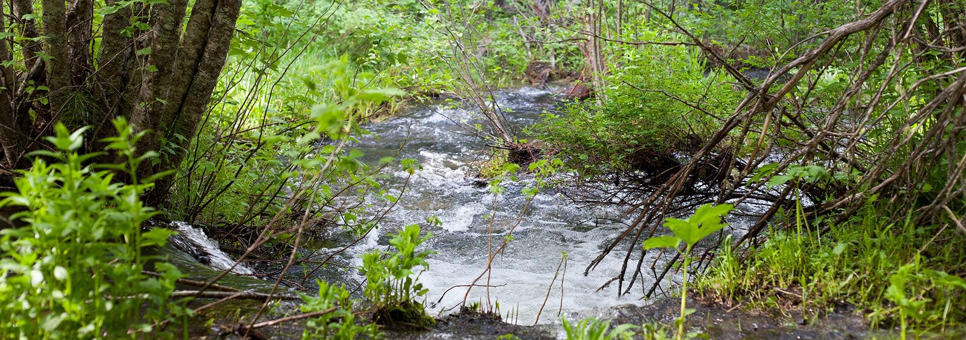 Montana ranches for sale Pine Creek Ranch