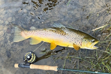 fly fishing land for sale colorado south valley yampa river ranchette