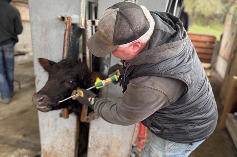 ryan deskins cattle rancher washington broker