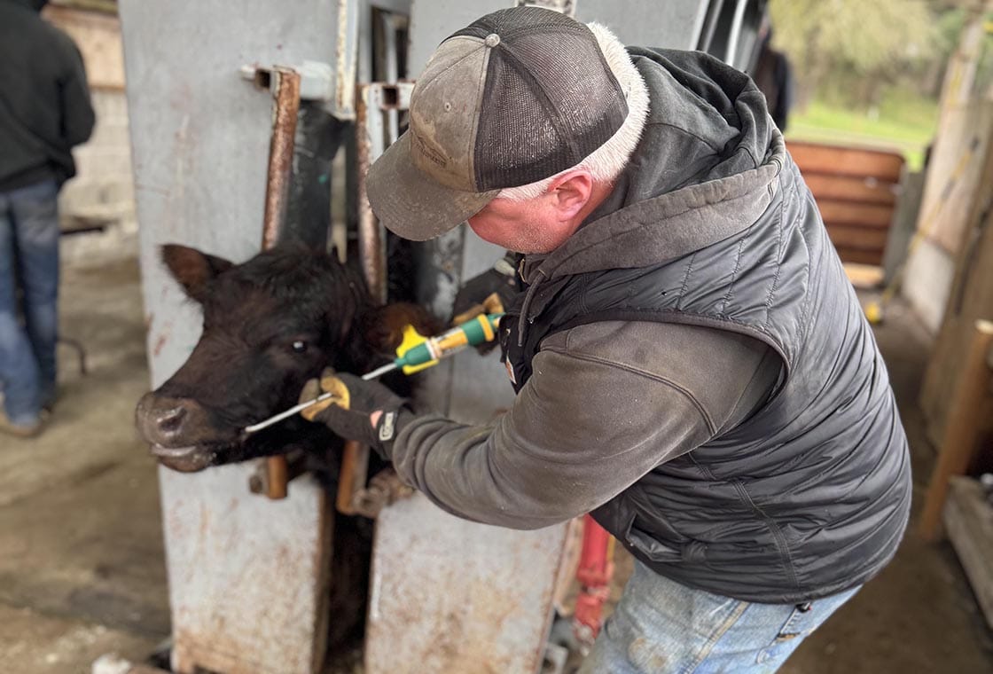 ryan deskins cattle rancher washington broker