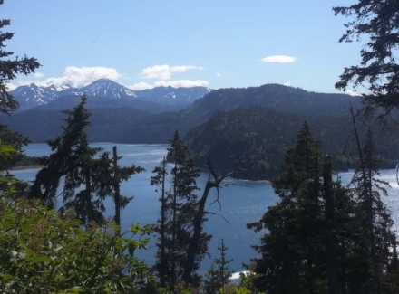 alaska water frontage homes for sale halibut cove
