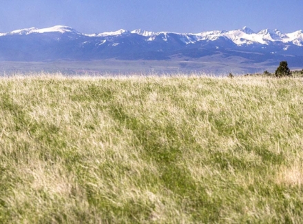 montana land for sale horseshoe foothills ranch