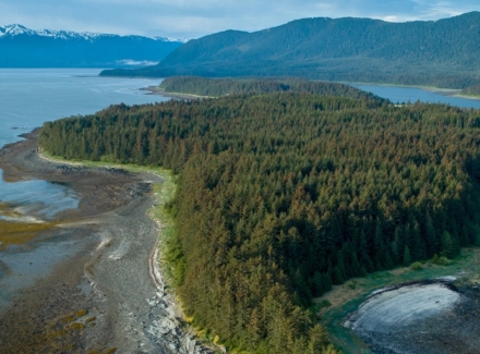 alaska island for sale colt island