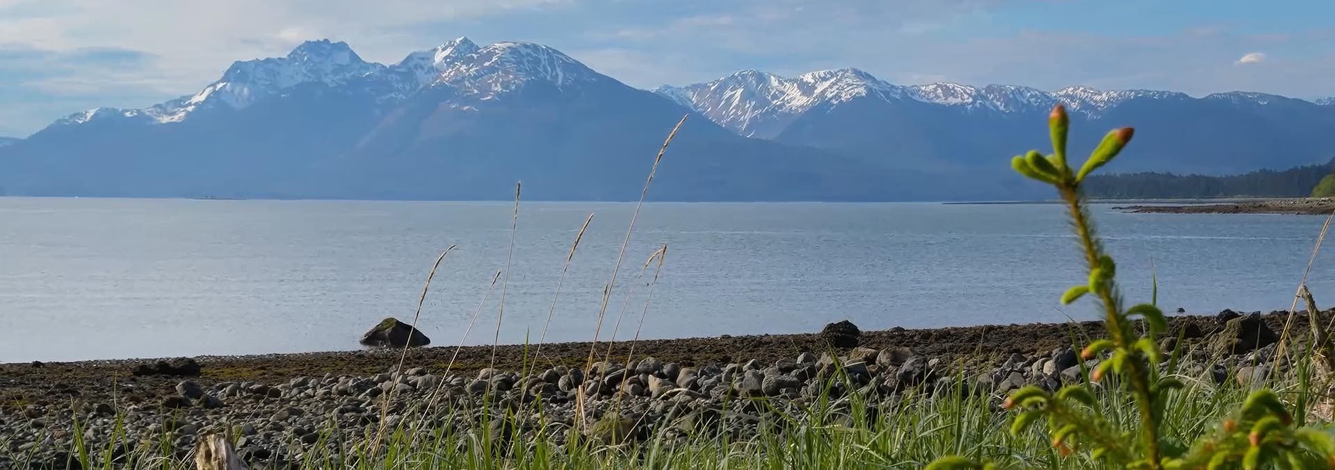 alaska land for sale colt island
