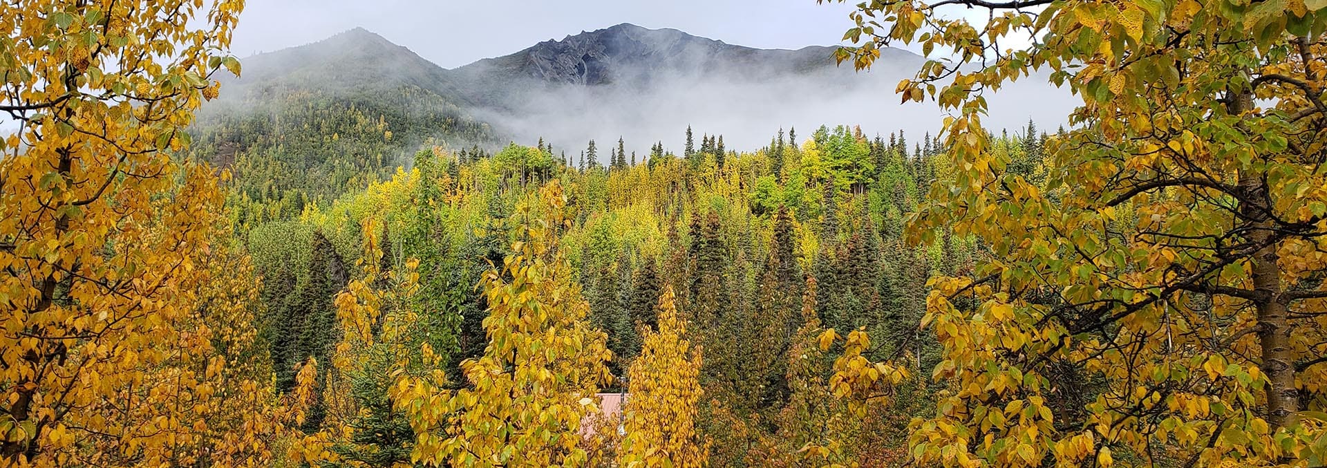 alaska land for sale fireweed mountain lodge