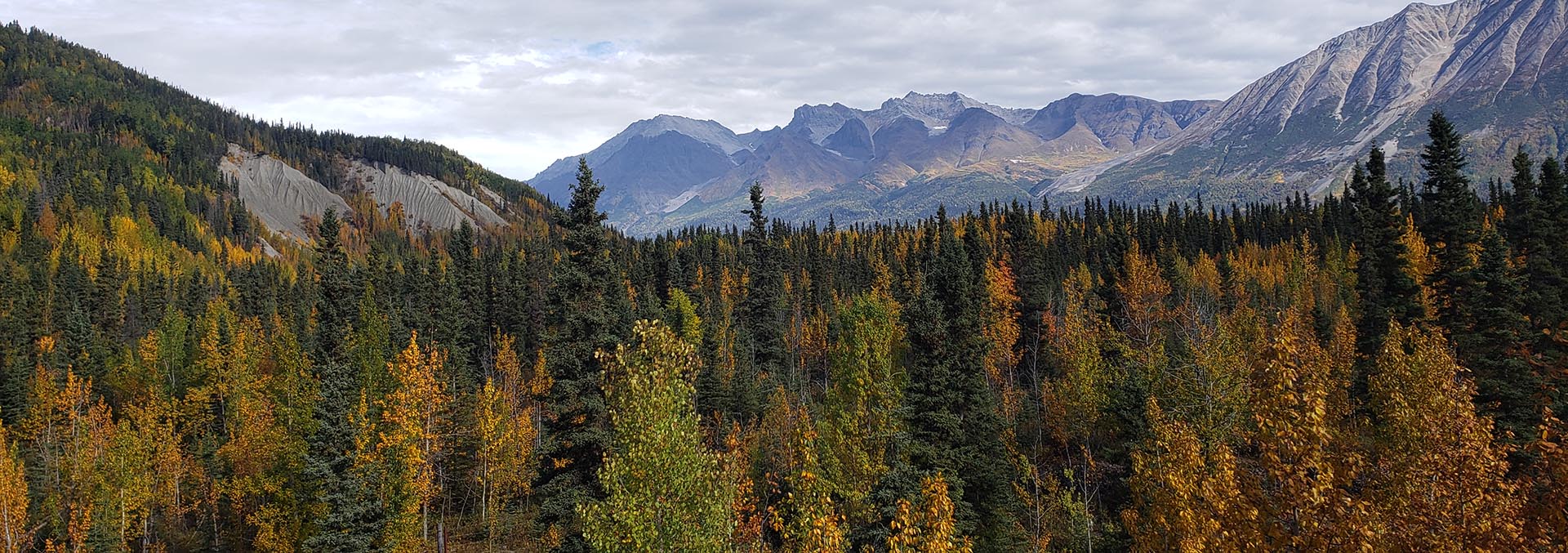 alaska property for sale fireweed mountain lodge