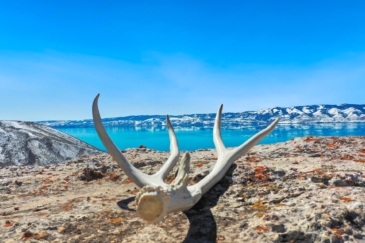big game hunting land for sale idaho chokecherry ranch