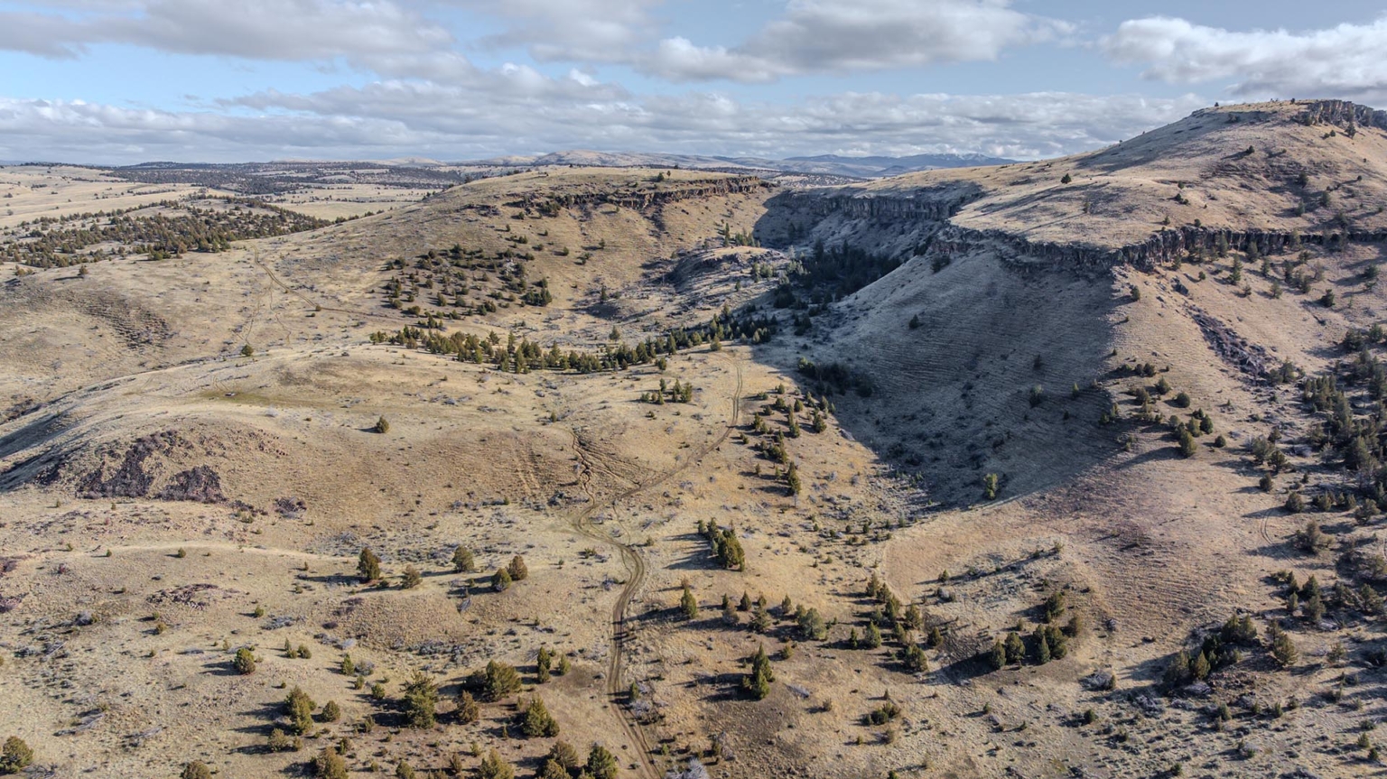 Willowdale Ranch | Madras Oregon | Fay Ranches
