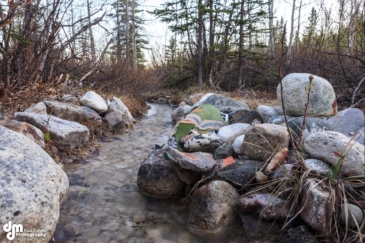 fly fishing property for sale alaska fireweed mountain lodge