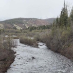 investment alaska quail creek gold mine