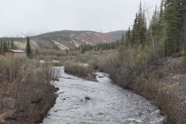 investment alaska quail creek gold mine