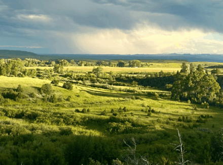 montana ranch for sale sweet grass overlook