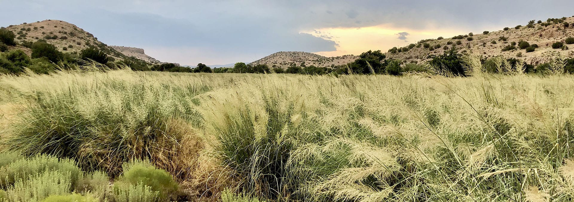 new mexico land for sale pitchfork ranch
