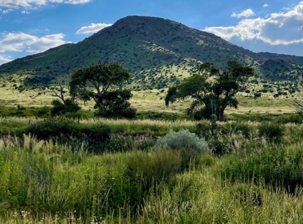 new mexico ranches for sale pitchfork ranch