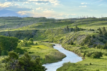 water frontage property for sale sweet grass overlook