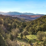 idaho ranches for sale jenkins canyon ranch