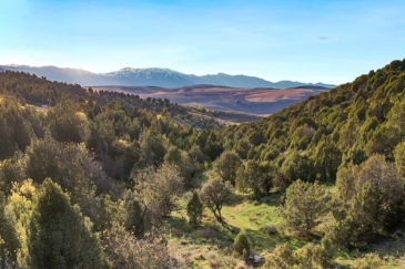idaho ranches for sale jenkins canyon ranch