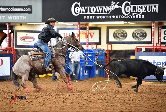 Justin davis california broker heeling on Pocket Cowtown Coliseum Ft. Worth