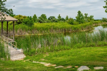 Texas ranches for sale MV2 Ranch