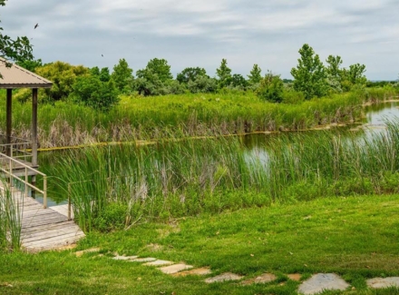 Texas ranches for sale MV2 Ranch