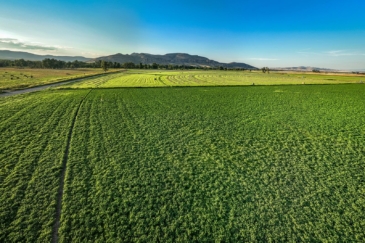 agricultural production for sale montana jefferson river preserve