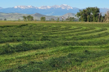 agricultural production for sale montana jefferson river sporting ranch