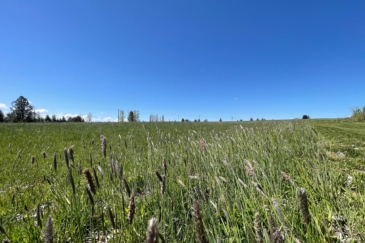 agricultural production land for sale idaho cimmaron ranch