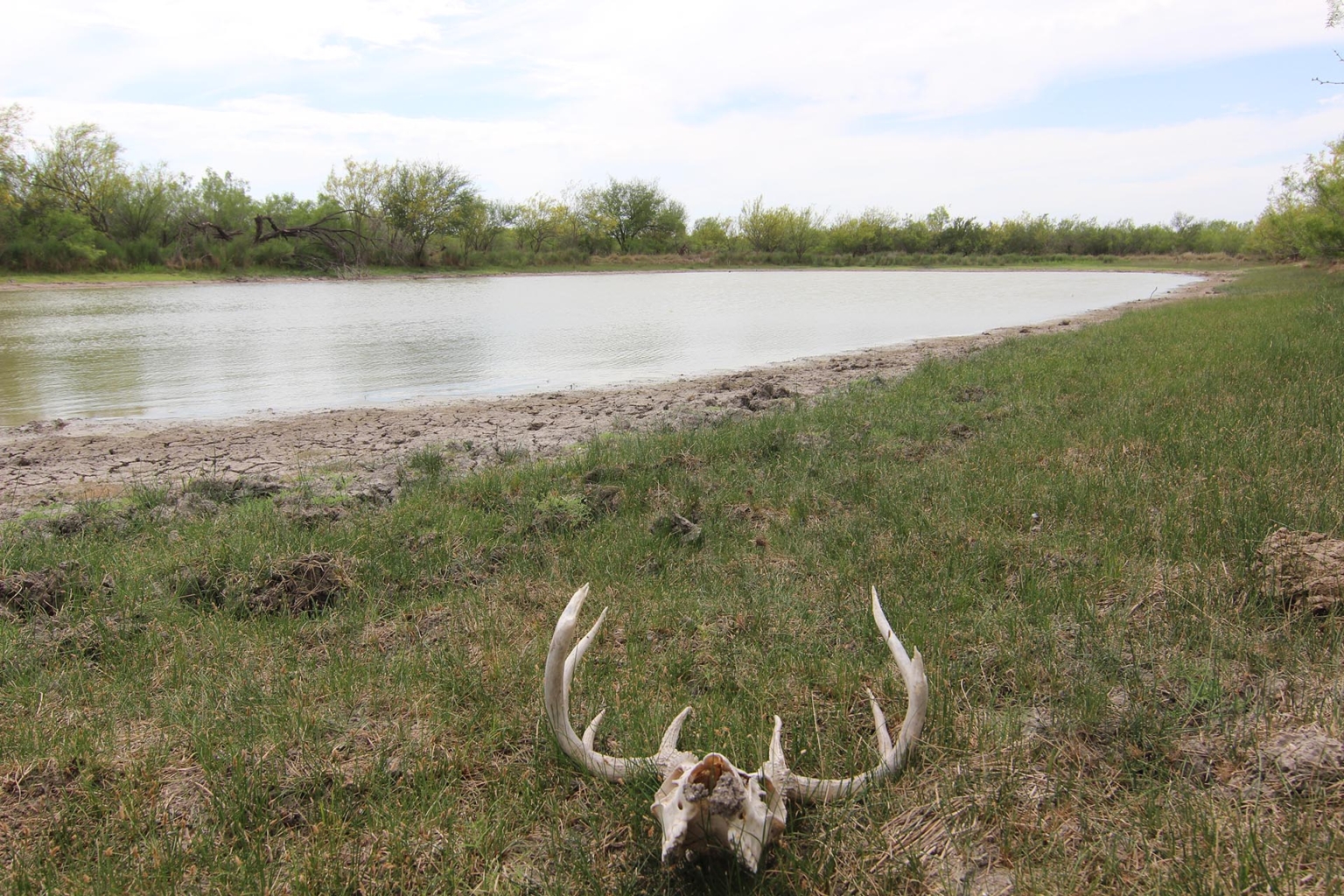 Continental Ranch | Freer Texas | Fay Ranches