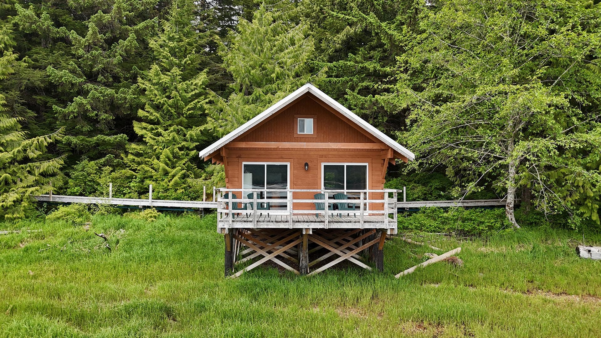 Wooden cabin on stilts with a wraparound deck and green chairs, tucked among dense evergreen trees.