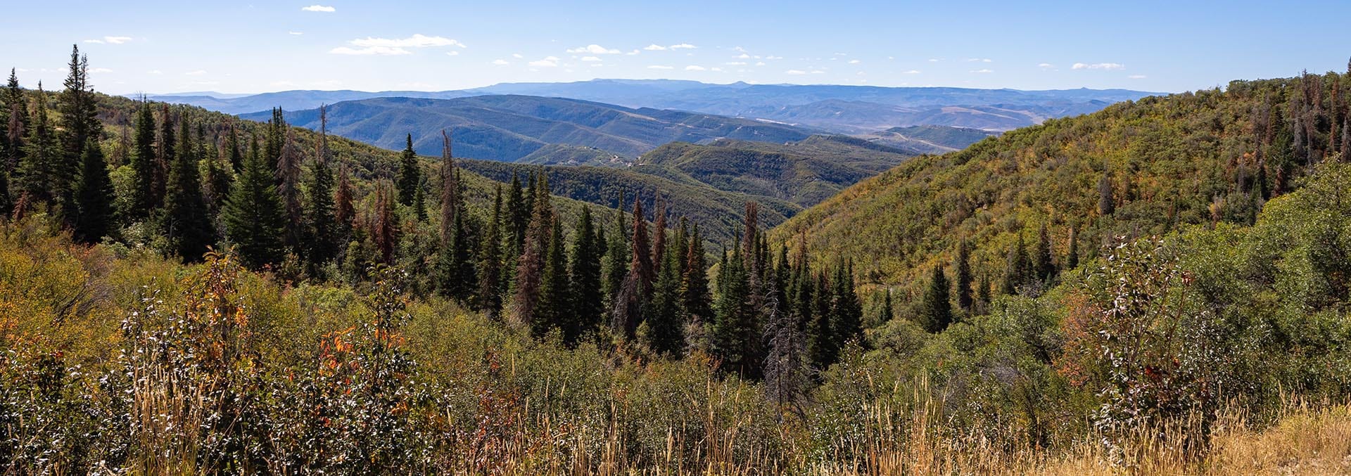 colorado ranches for sale red rock ranch