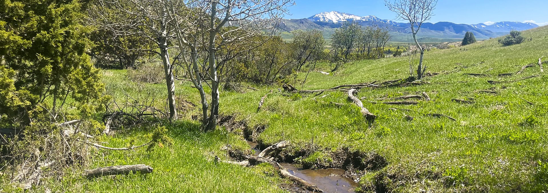 idaho land for sale Mill Canyon Ranch