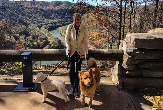 laura johnson agent coordinator fall dogs on a bridge