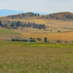 montana hay farm for sale Helena Valley Hay Farm