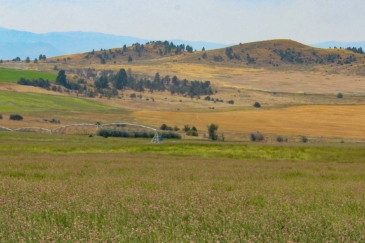 montana hay farm for sale Helena Valley Hay Farm