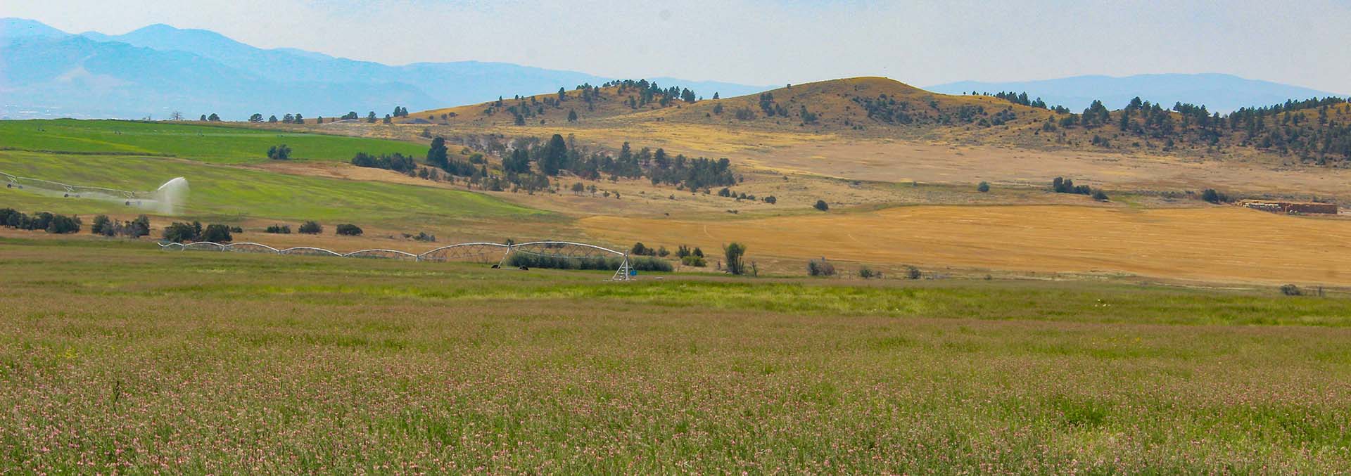 montana hay farm for sale Helena Valley Hay Farm