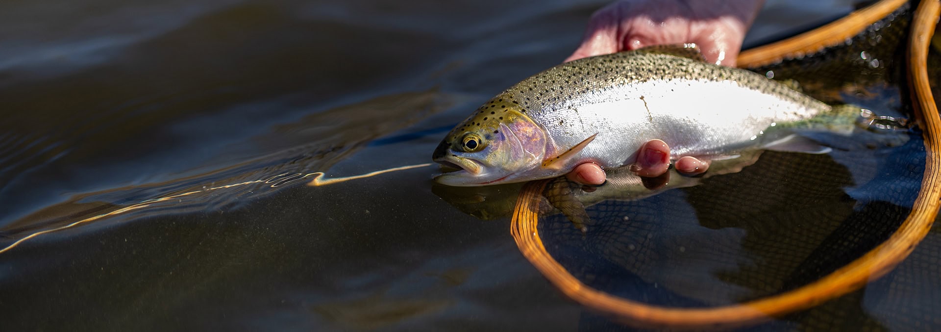 montana land for sale clark fork river estate