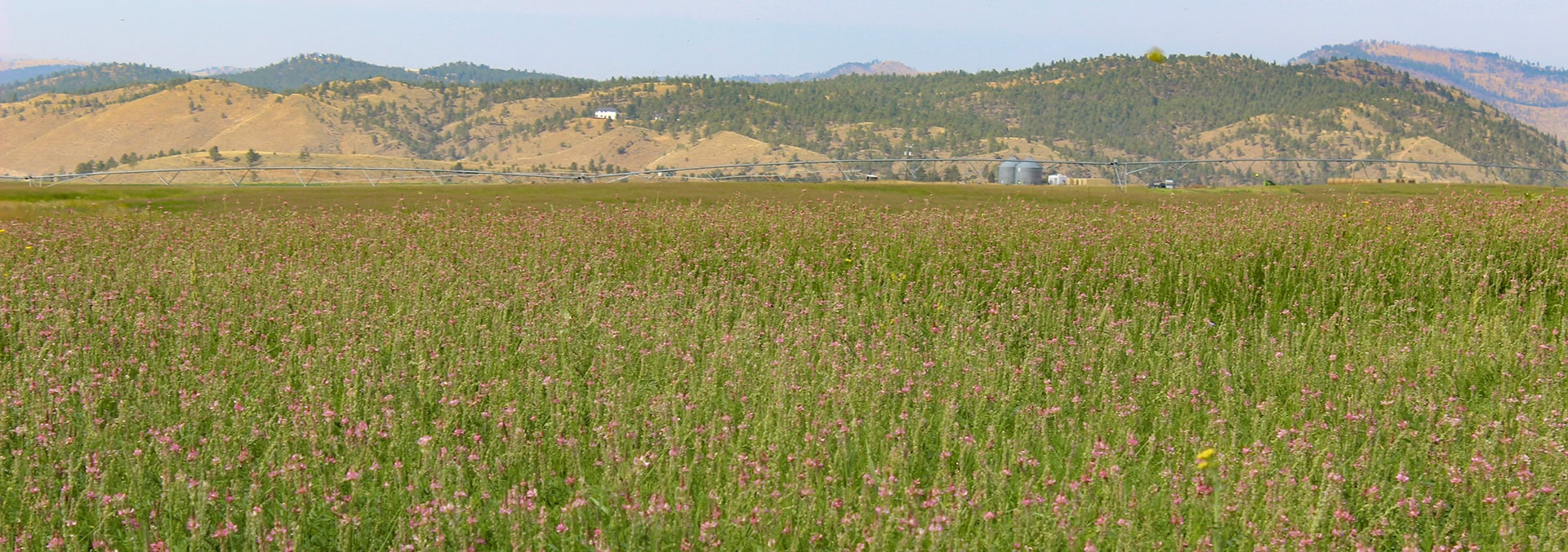 montana land for sale helena valley hay farm