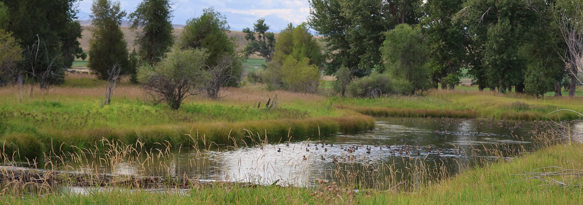 montana land for sale jefferson river sporting ranch