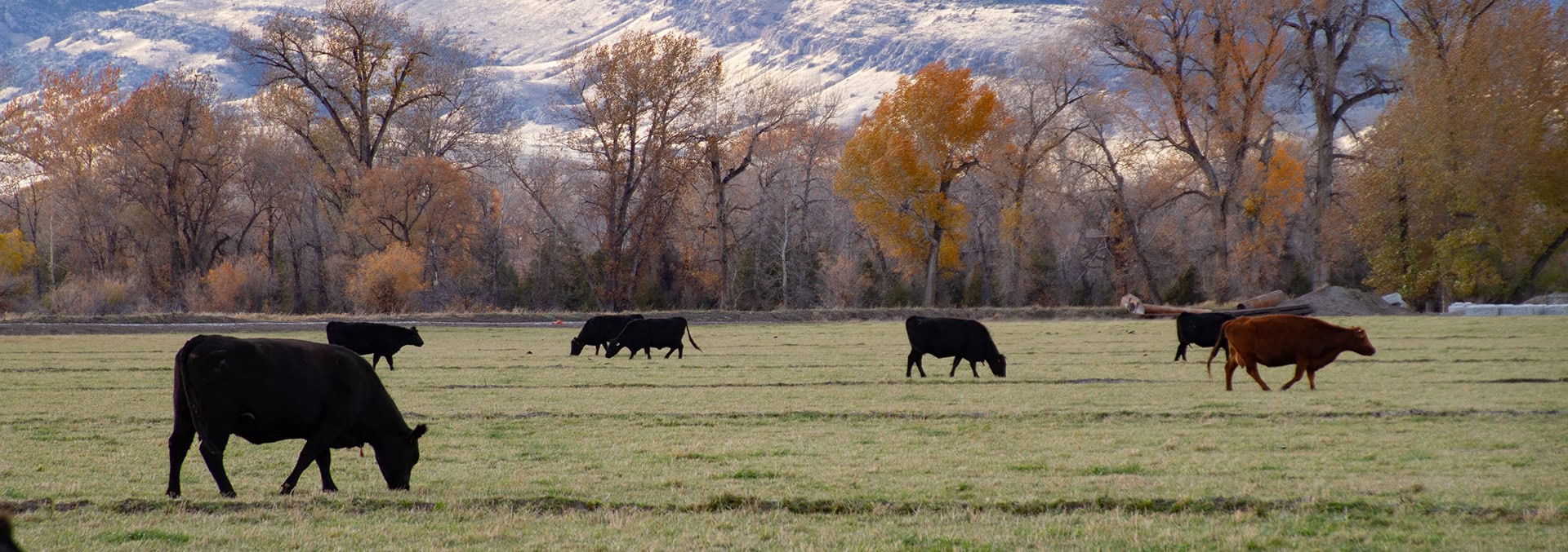 montana property for sale jefferson river preserve