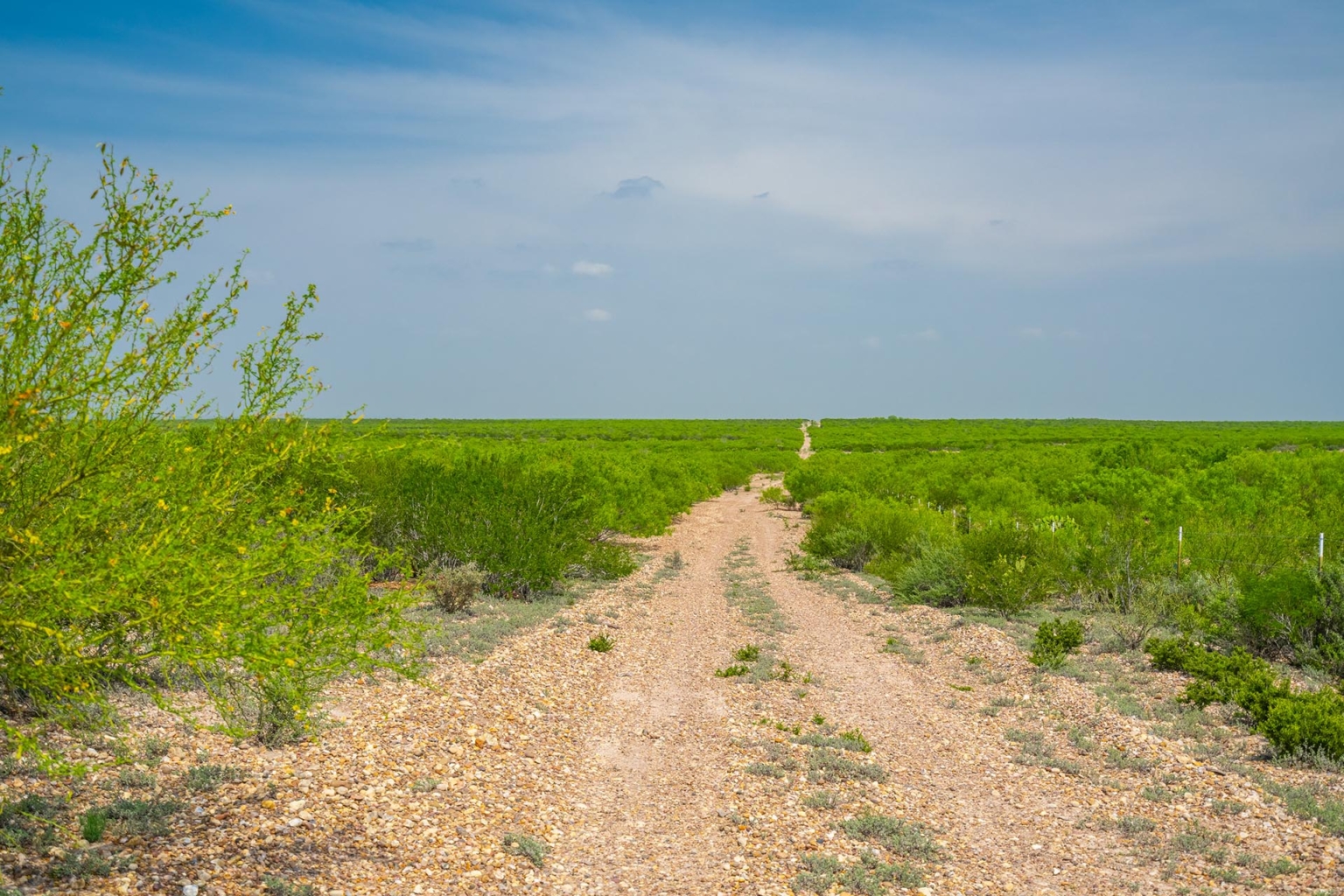 Continental Ranch | Freer Texas | Fay Ranches