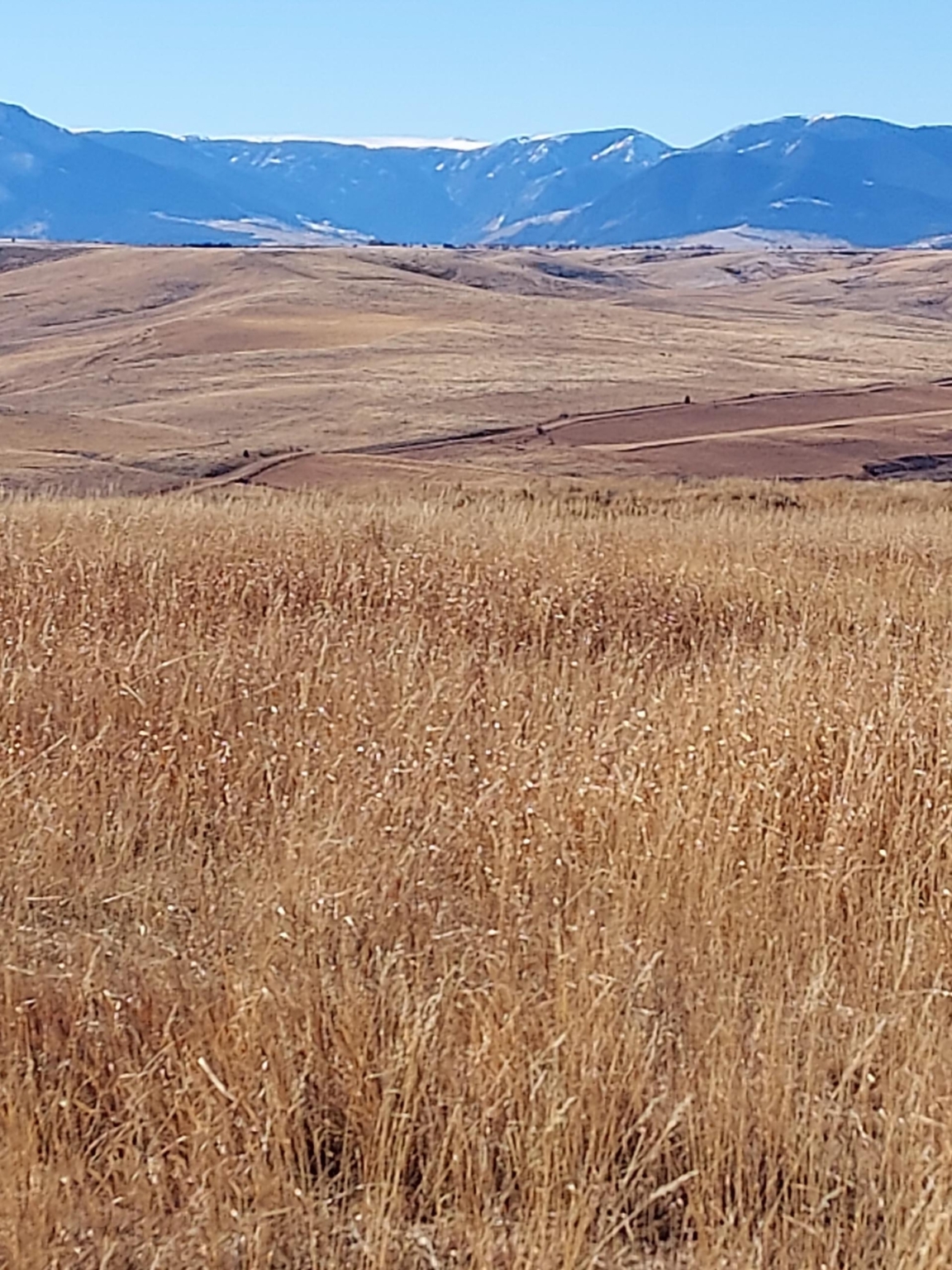 Three Ranges Ranch | Roberts Montana | Fay Ranches